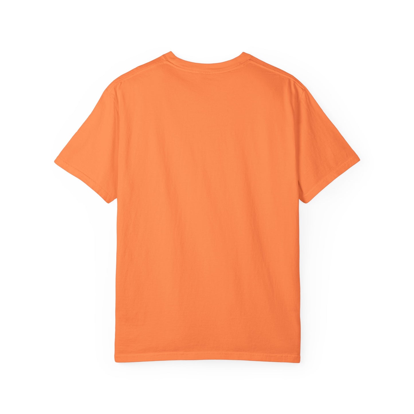 Funny Unisex Garment-Dyed T-Shirt | "F*** Around Find Out" Graphic Tee