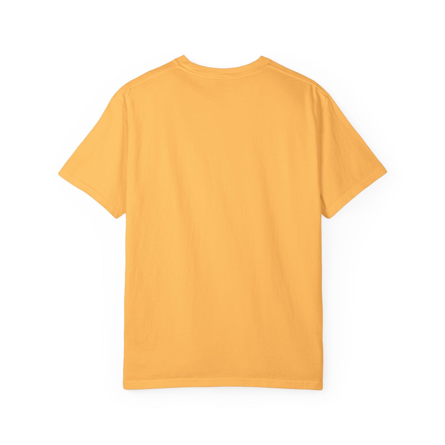 Funny Unisex Garment-Dyed T-Shirt | "F*** Around Find Out" Graphic Tee